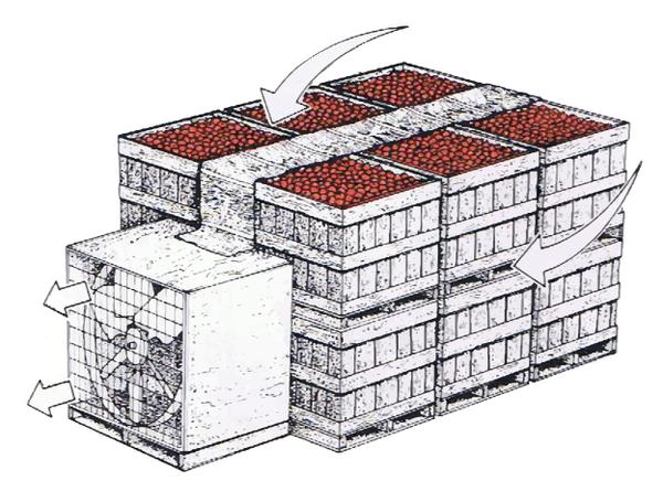 Figure 15. Apple crates being forced-air cooled.
